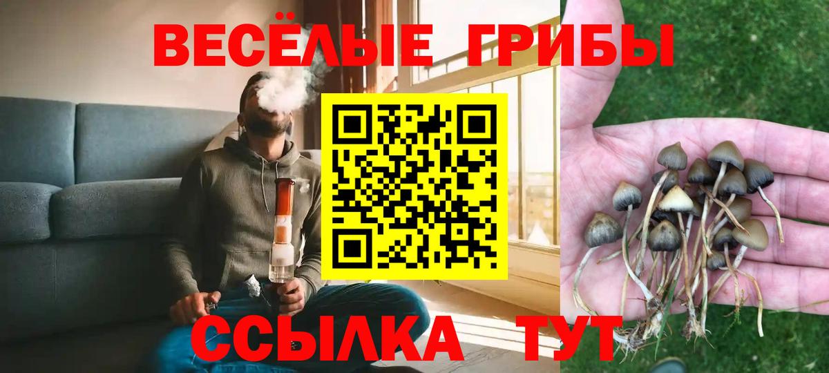 Псилоцибиновые грибы ЛСД Печора
